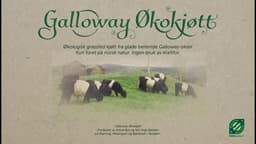 Galloway Økokjøtt v/Åsprong Drift logo