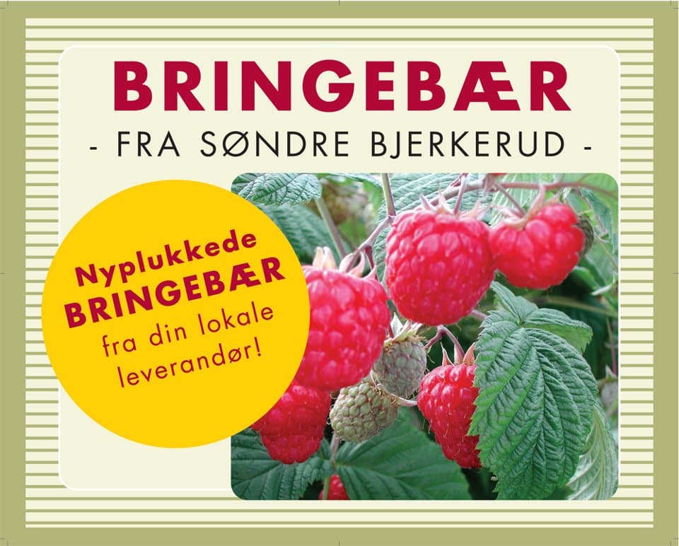 Søndre Bjerkerud