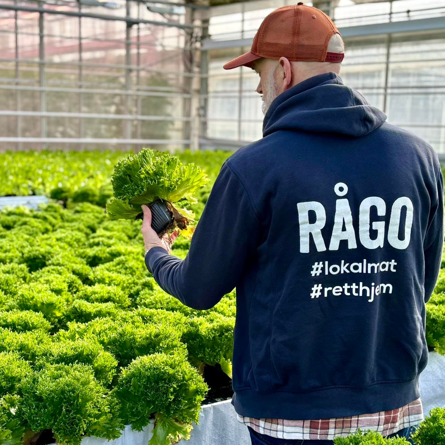 RÅGO - Trondheims Kjøkkenhage AS