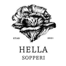 Hella Sopperi AS logo