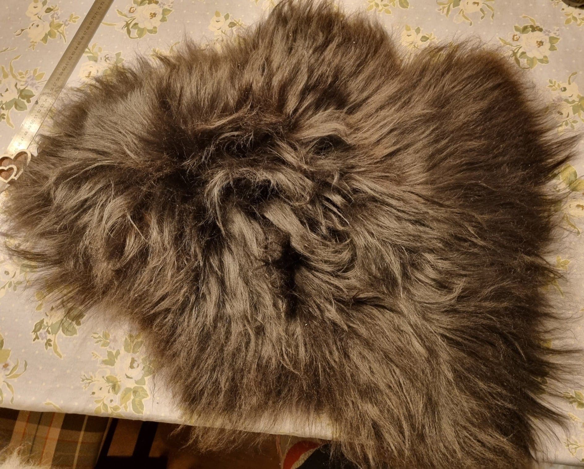 Olaåsen Gård og Pål`s Gård