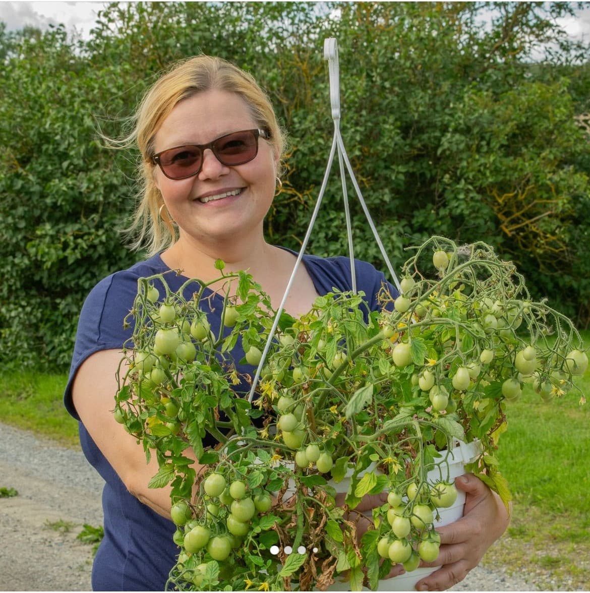 Humlehagen markedshage