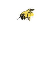 Helnora Honning logo