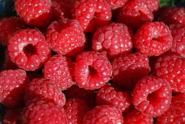 Vintlands Bringebær