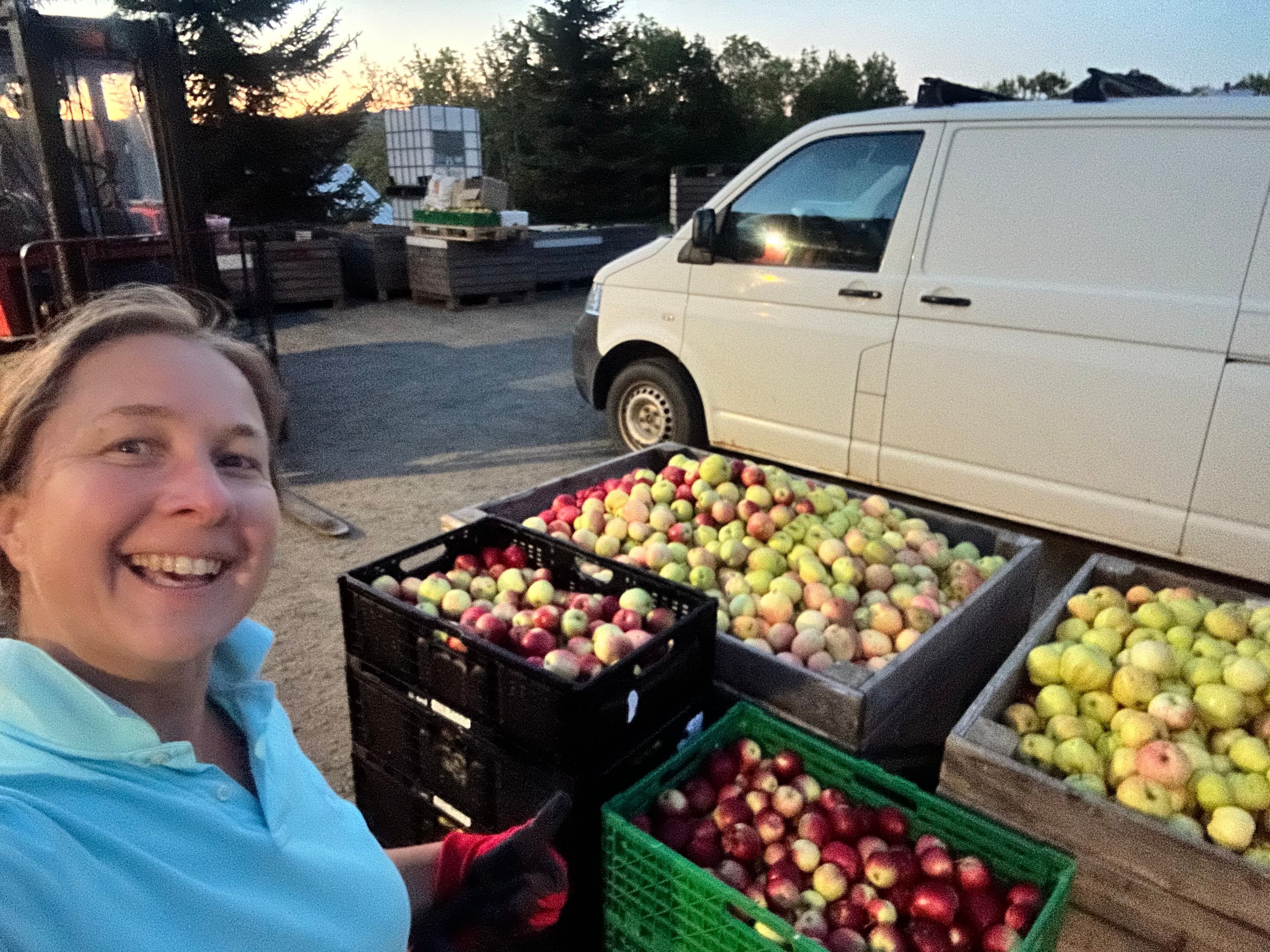 Levering til pressing