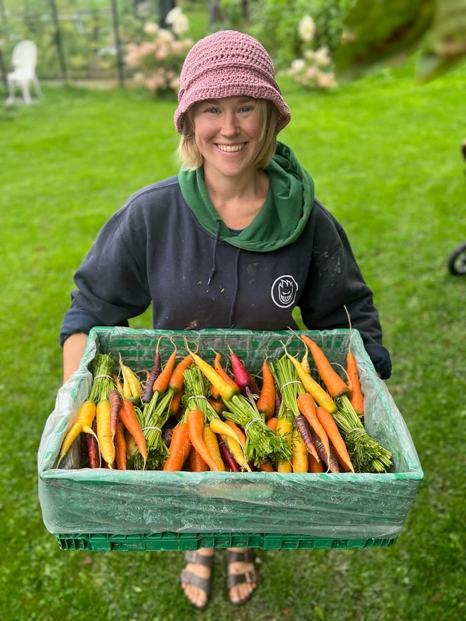 Nyhøstet gulrot
