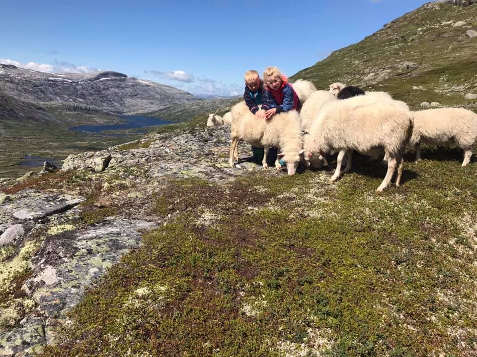 Løyning gård 10/3 Sæstad