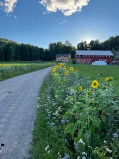 Tohn gård honning logo