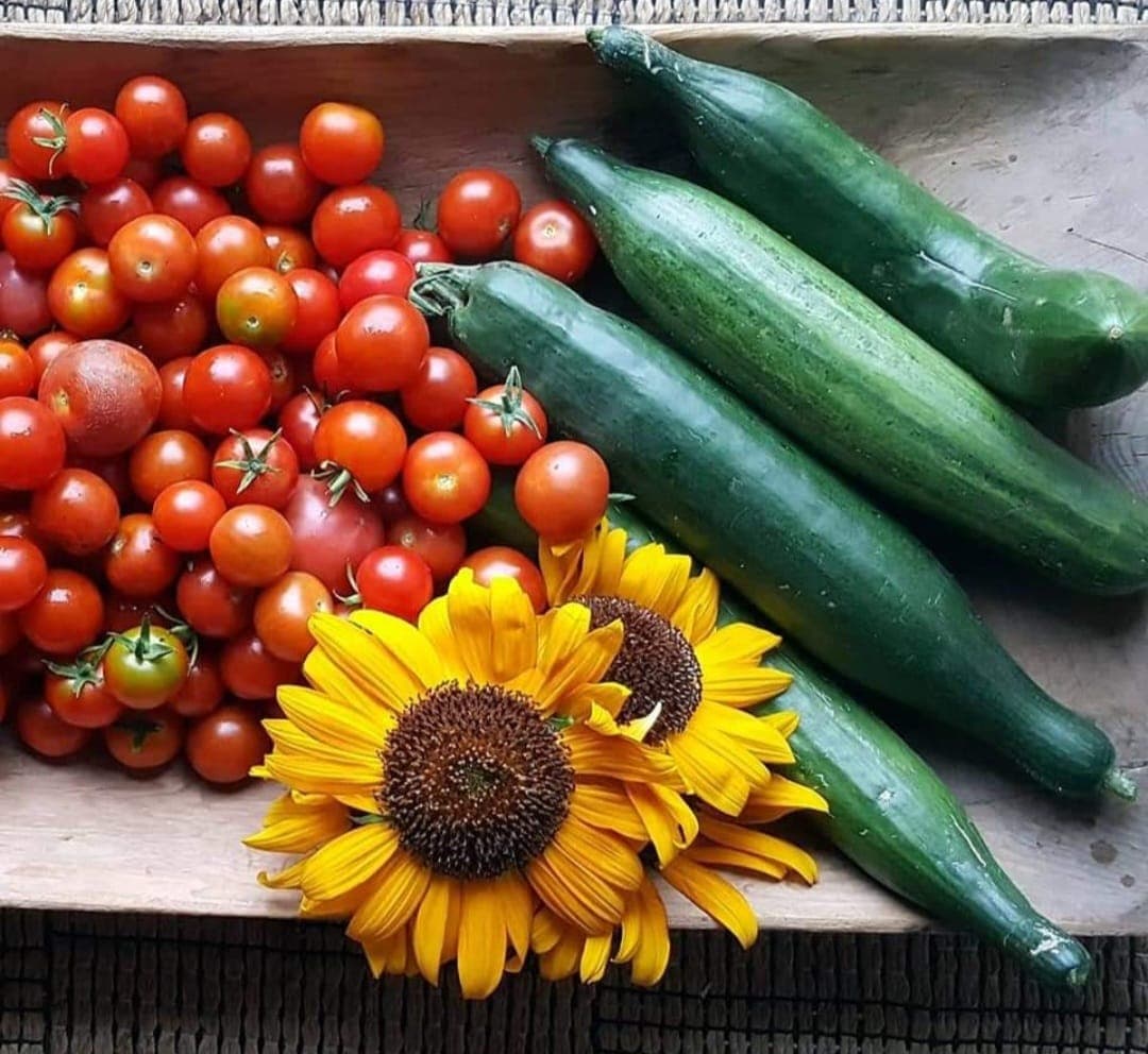 Sander Nordstuen Gård