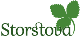 Storstova logo
