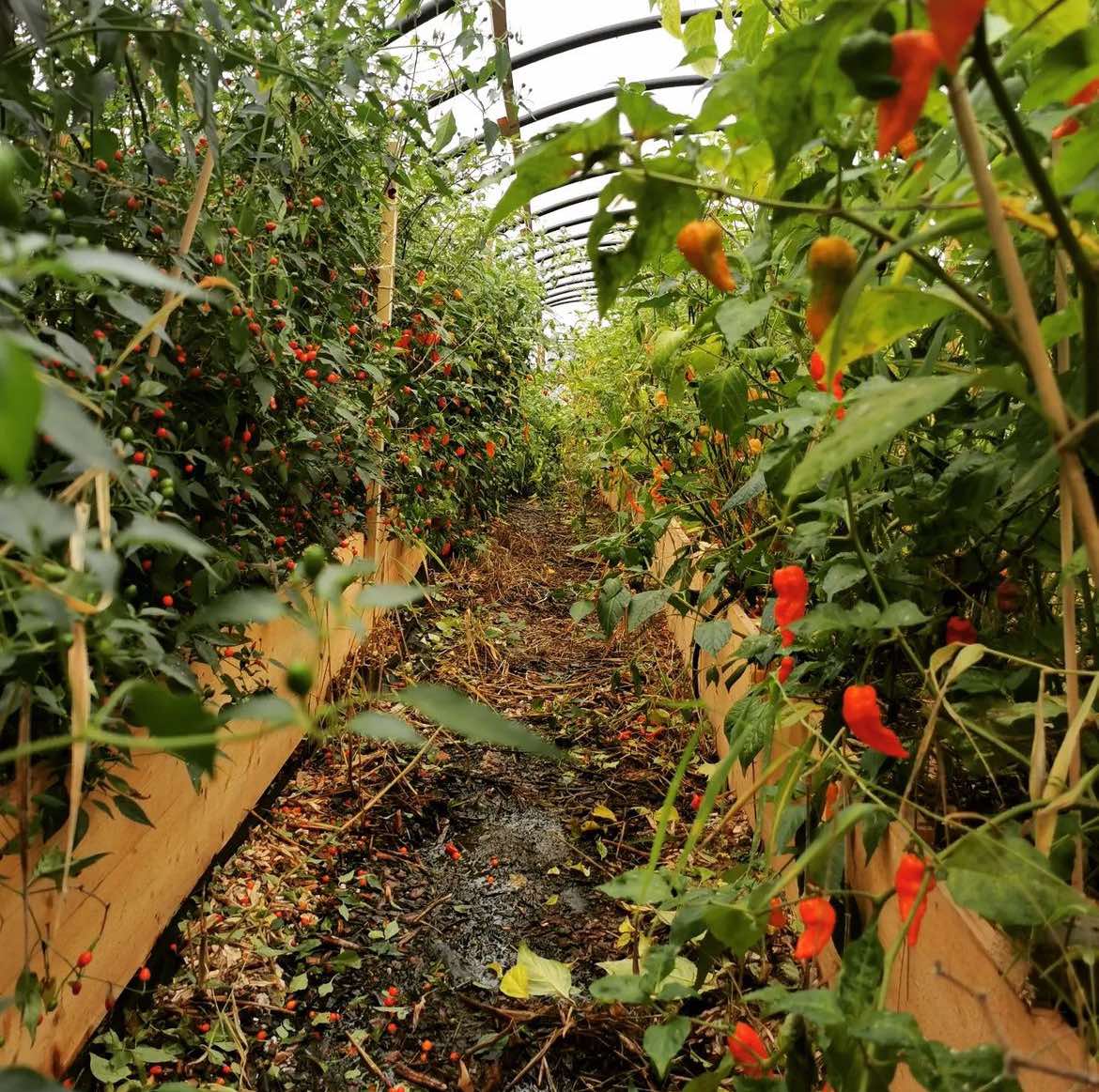 Løkken Gård Hvaler