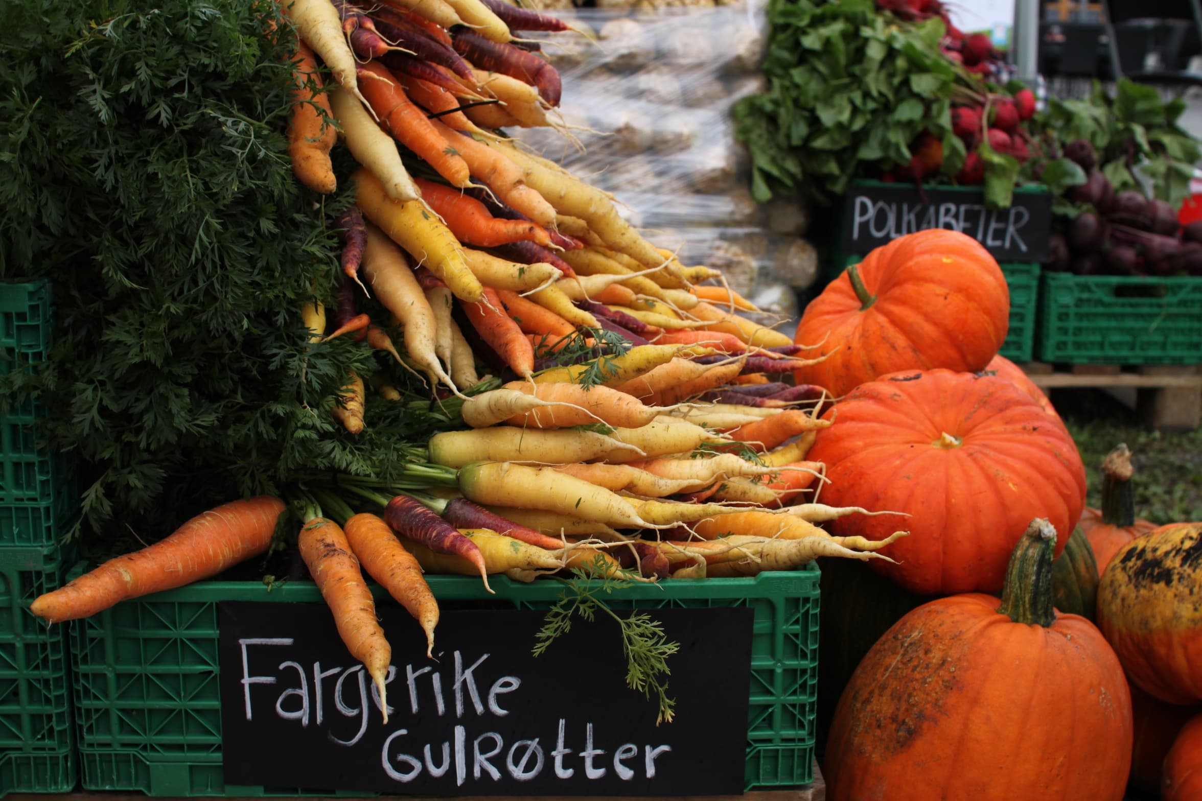 På Hjembu dyrkes det mange varianter av grønnsaker. Her er ser du gullerøttene våre!