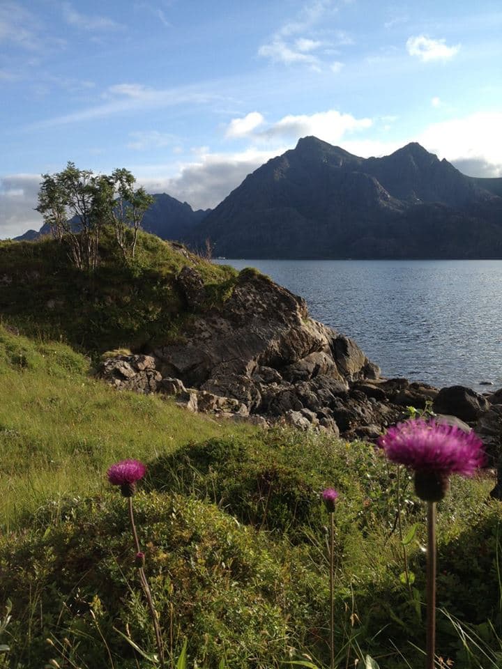 Utskor (Elrid Pedersen)