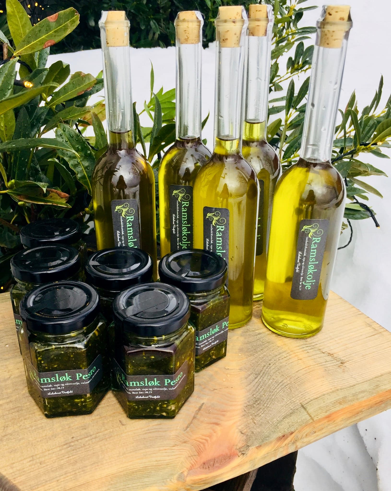 Ramsløkpesto og olje