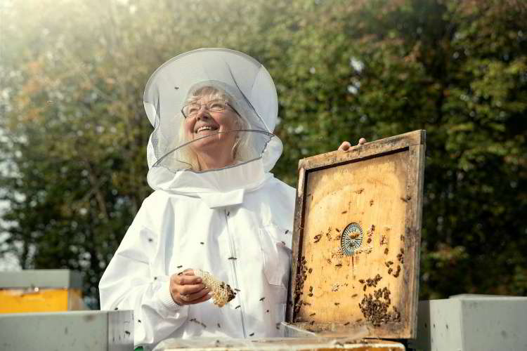 dronninga av honning