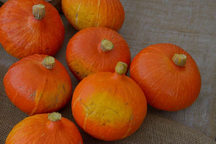 elses gronnsakssmykker