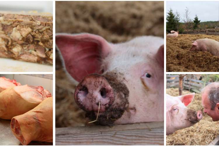 julematen far du hos oss