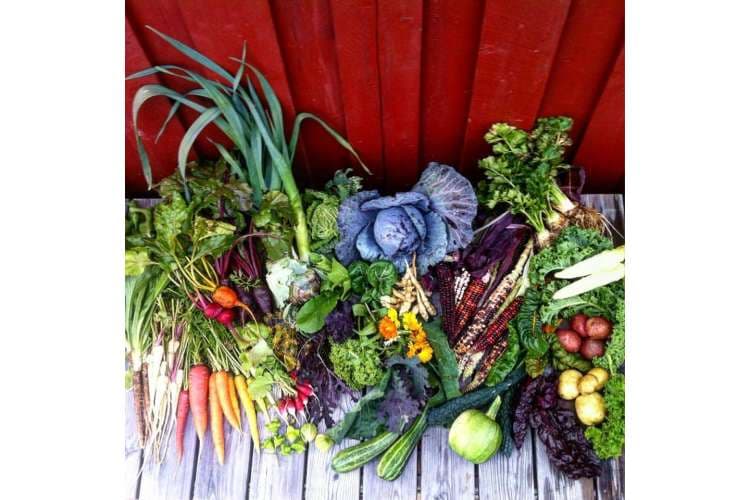 kan det endelig bli lokale gronnsaker i bergen