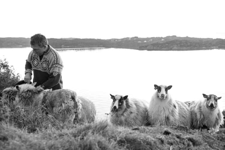 matglede og smaksfest i oslo og bergen