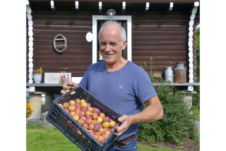 reis med bondens marked til bonden vinn gratis reise