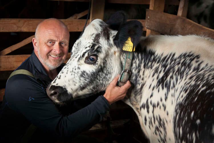 seterlivet i sunndalsfjella